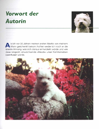 Auszug: Vorwort der Autorin